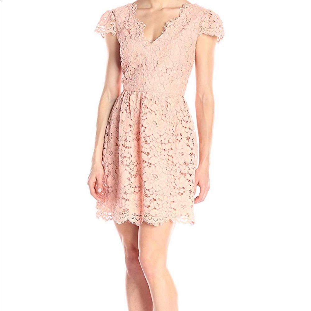 Erin Featherstone Lace Dress